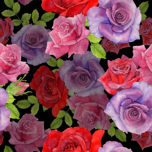 Wildflower rosa flower pattern in a watercolor style.