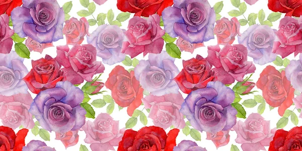 Wildblume rosa Blumenmuster im Aquarell-Stil. — Stockfoto