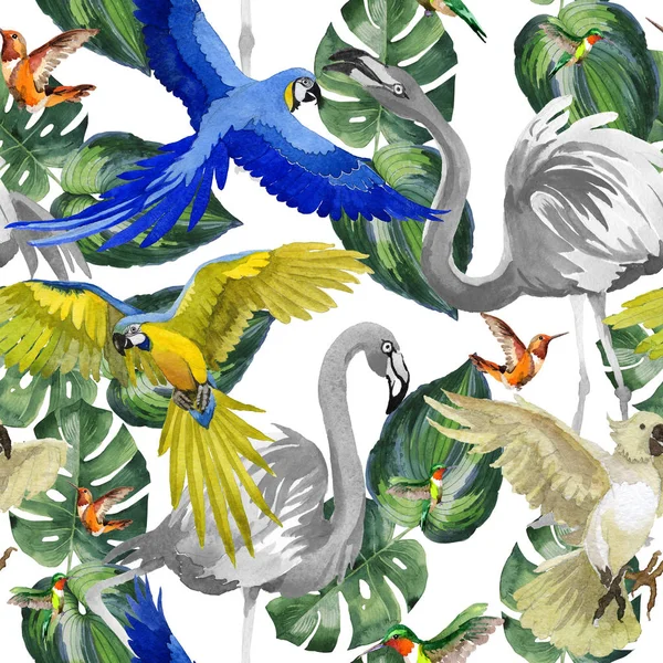 Sky bird parrot pattern in a wildlife by watercolor style. — Stock Photo, Image