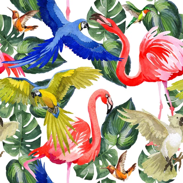 Padrão de papagaio pássaro céu em uma vida selvagem pelo estilo aquarela . — Fotografia de Stock