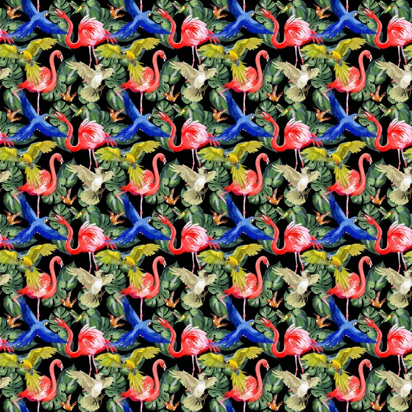 Sky bird parrot pattern in a wildlife by watercolor style. — Stock Photo, Image