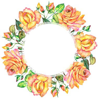 Kır çiçeği gül çiçek çerçeve suluboya tarzında.