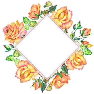 Kır çiçeği gül çiçek çerçeve suluboya tarzında.