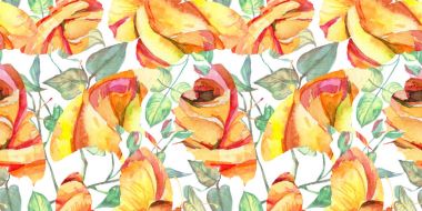 Kır çiçeği gül çiçek deseni suluboya tarzında.