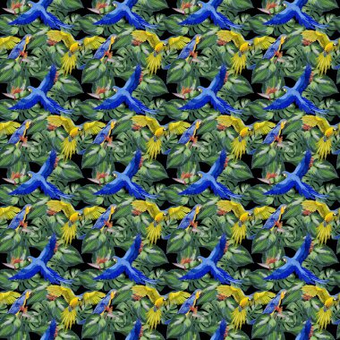 Gökyüzü kuş papağan desende bir yaban hayatı suluboya stili tarafından.