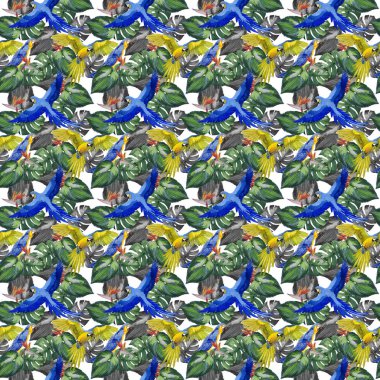 Gökyüzü kuş papağan desende bir yaban hayatı suluboya stili tarafından.