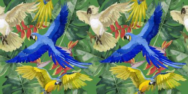 Gökyüzü kuş papağan desende bir yaban hayatı suluboya stili tarafından.