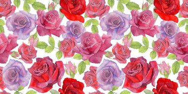 Kır çiçeği rosa çiçek deseni suluboya tarzında.