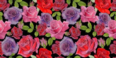 Kır çiçeği rosa çiçek deseni suluboya tarzında.