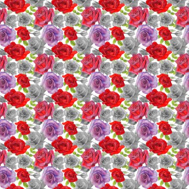 Kır çiçeği rosa çiçek deseni suluboya tarzında.