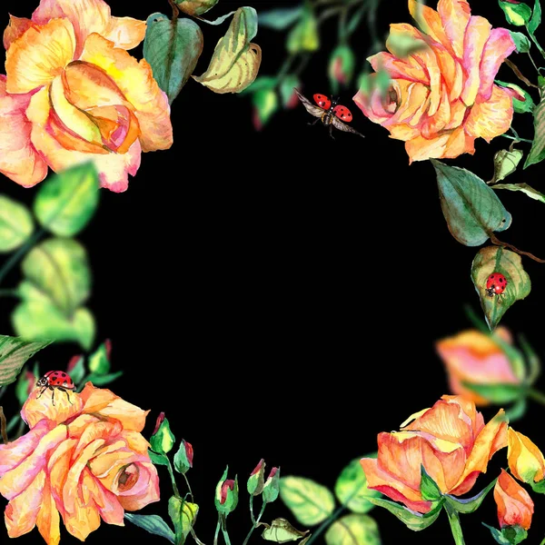 Wildflower kwiat róży rama w stylu przypominającym akwarele. — Zdjęcie stockowe