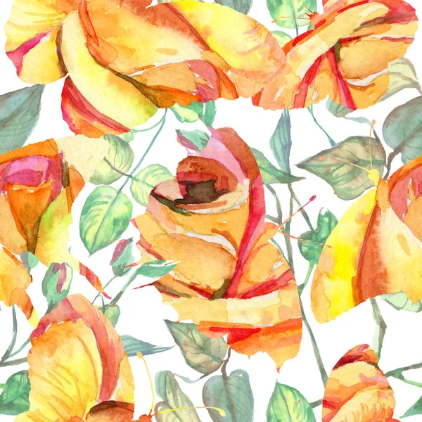 Kır çiçeği gül çiçek deseni suluboya tarzında.