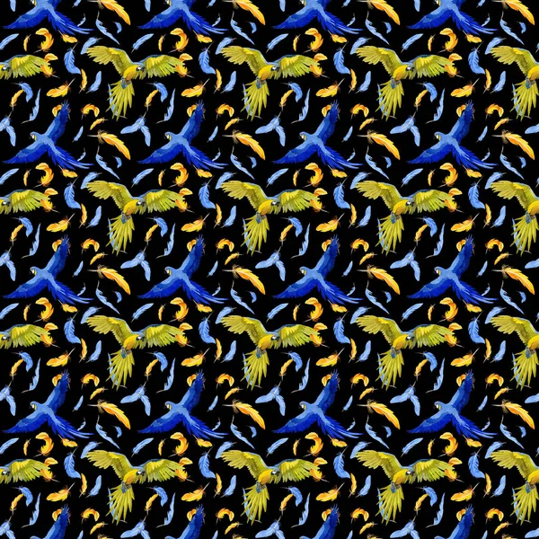 Sky bird parrot pattern in a wildlife by watercolor style. — Stock Photo, Image