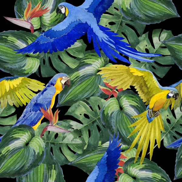 Sky bird parrot pattern in a wildlife by watercolor style. — Stock Photo, Image