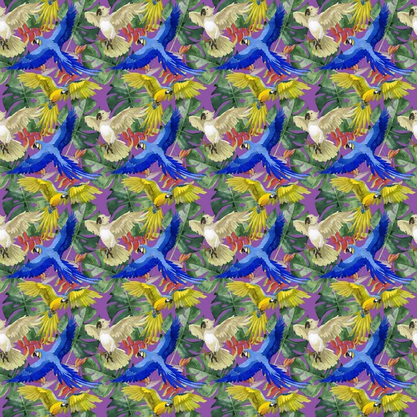 Sky bird parrot pattern in a wildlife by watercolor style. — Stock Photo, Image