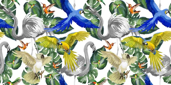 Sky bird parrot pattern in a wildlife by watercolor style. — Stock Photo, Image