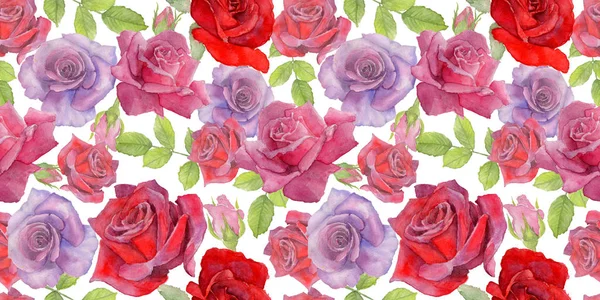 Kır çiçeği rosa çiçek deseni suluboya tarzında.