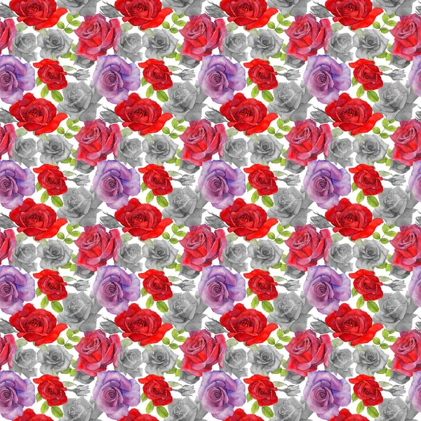 Wildflower rosa blommönster i akvarell stil. — Stockfoto