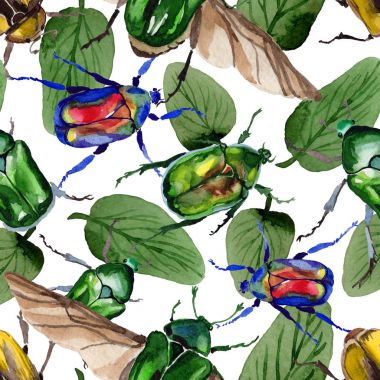 Egzotik böceği bronzovka suluboya tarzında'deki yabani böcek desen.