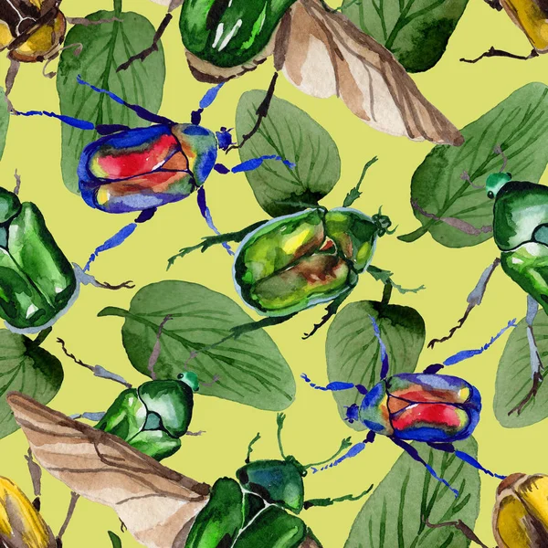 Egzotik böceği bronzovka suluboya tarzında'deki yabani böcek desen.