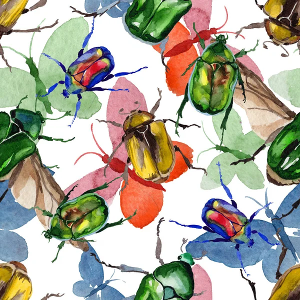 Egzotik böceği bronzovka suluboya tarzında'deki yabani böcek desen.