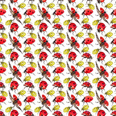 Egzotik uğur böceği vahşi böcek desen suluboya tarzında.