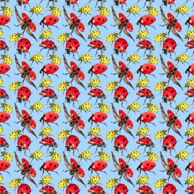 Egzotik uğur böceği vahşi böcek desen suluboya tarzında.