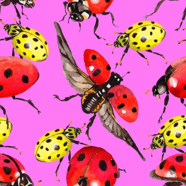 Egzotik uğur böceği vahşi böcek desen suluboya tarzında.