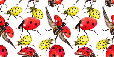 Egzotik uğur böceği vahşi böcek desen suluboya tarzında.