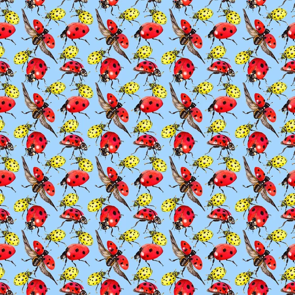 Egzotik uğur böceği vahşi böcek desen suluboya tarzında.