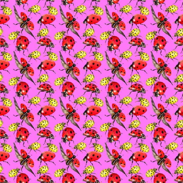 Egzotik uğur böceği vahşi böcek desen suluboya tarzında.