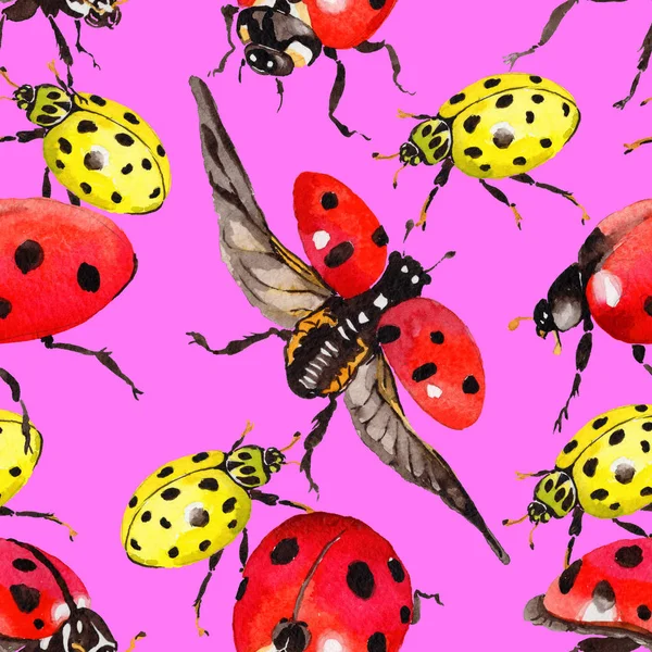 Egzotik uğur böceği vahşi böcek desen suluboya tarzında.