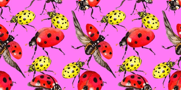 Egzotik uğur böceği vahşi böcek desen suluboya tarzında.