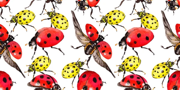 Egzotik uğur böceği vahşi böcek desen suluboya tarzında.