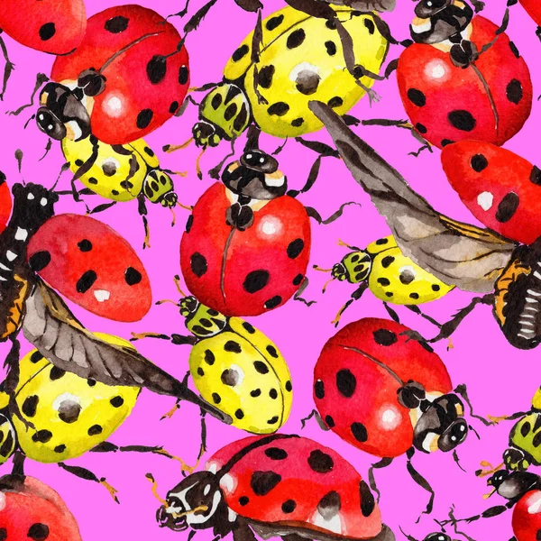 Egzotik uğur böceği vahşi böcek desen suluboya tarzında.