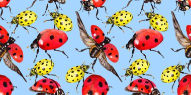 Egzotik uğur böceği vahşi böcek desen suluboya tarzında.