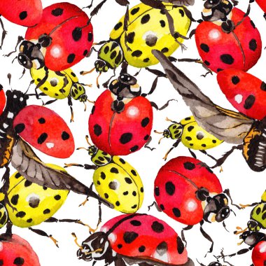 Egzotik uğur böceği vahşi böcek desen suluboya tarzında.