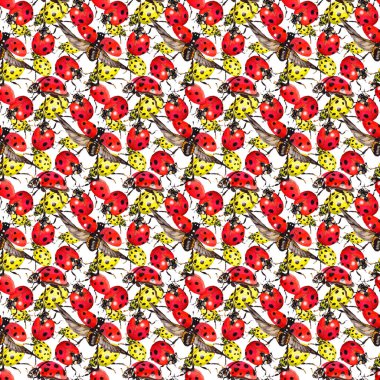 Egzotik uğur böceği vahşi böcek desen suluboya tarzında.