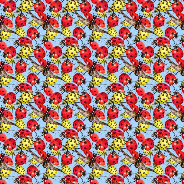 Egzotik uğur böceği vahşi böcek desen suluboya tarzında.