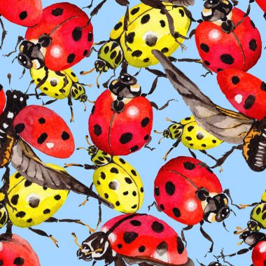 Egzotik uğur böceği vahşi böcek desen suluboya tarzında.