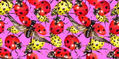 Egzotik uğur böceği vahşi böcek desen suluboya tarzında.