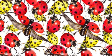 Egzotik uğur böceği vahşi böcek desen suluboya tarzında.