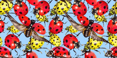 Egzotik uğur böceği vahşi böcek desen suluboya tarzında.