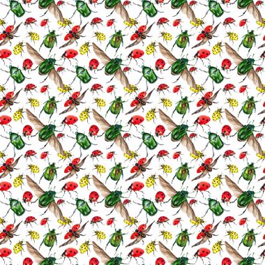 Egzotik uğur böceği vahşi böcek desen suluboya tarzında.