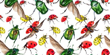 Egzotik uğur böceği vahşi böcek desen suluboya tarzında.