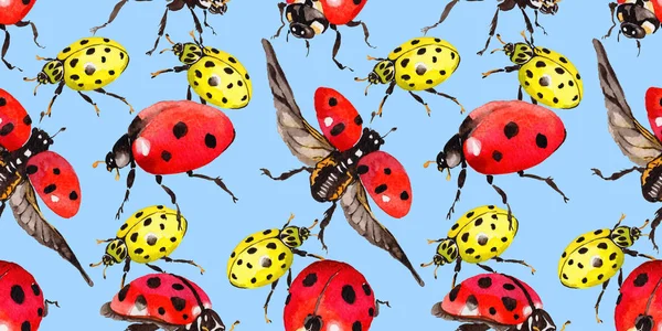 Egzotik uğur böceği vahşi böcek desen suluboya tarzında.