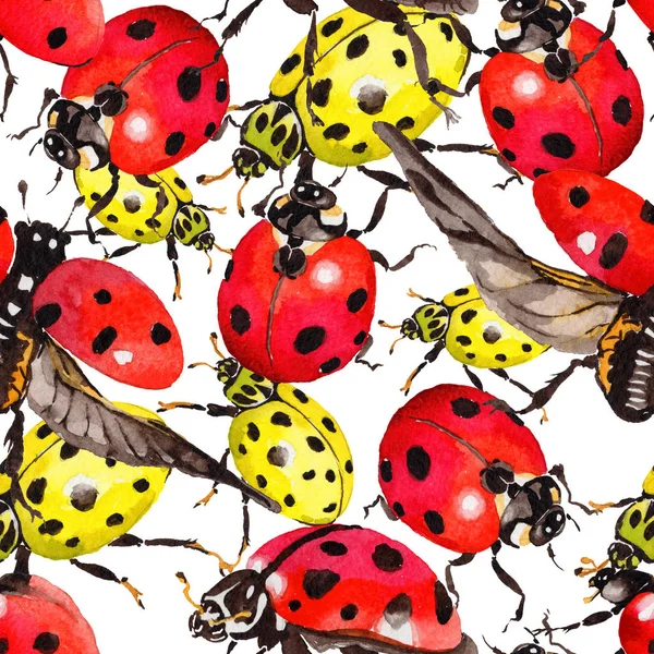 Egzotik uğur böceği vahşi böcek desen suluboya tarzında.