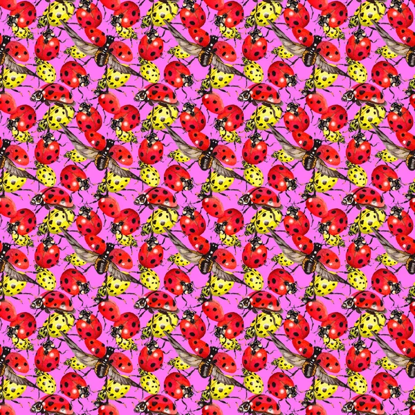 Egzotik uğur böceği vahşi böcek desen suluboya tarzında.