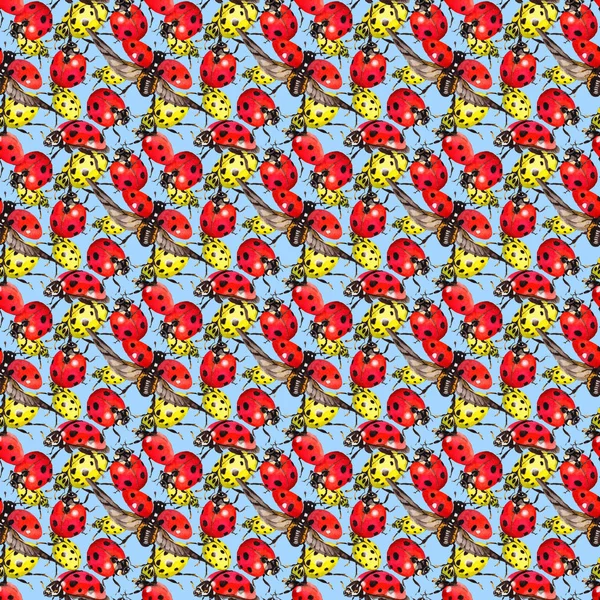 Exotic ladybug wild insect pattern in a watercolor style.