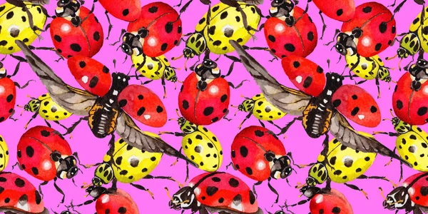 Egzotik uğur böceği vahşi böcek desen suluboya tarzında.